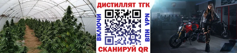 ТГК жижа  цена наркотик  Харовск 