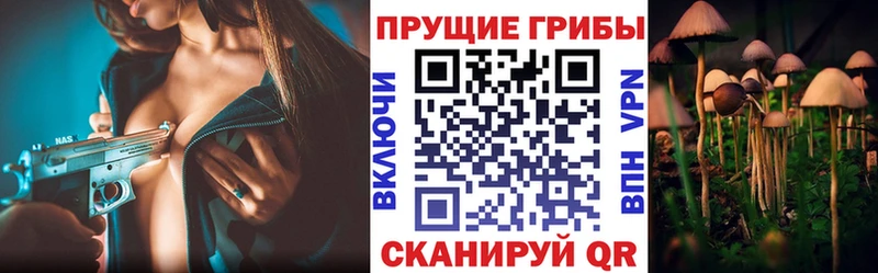 Галлюциногенные грибы Cubensis  Харовск 